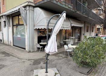 Foto 11 - Bar Tavola Calda - Fredda Verona - foto 11