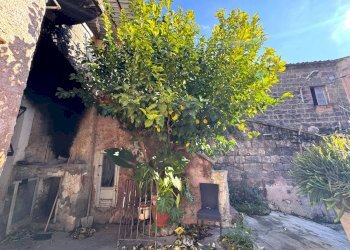 Giardino - Casa indipendente Vicolo Vincenzo Madonna
 
8, Caserta - foto 7