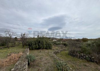 Foto 11 - Rustico C.da Iazzo Vecchio
 
snc, Santa Maria di Licodia - foto 11