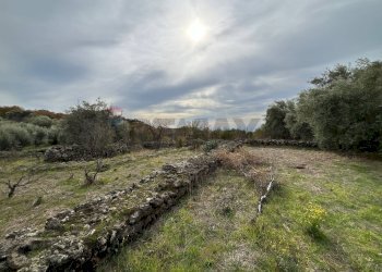 Foto 15 - Rustico C.da Iazzo Vecchio
 
snc, Santa Maria di Licodia - foto 15