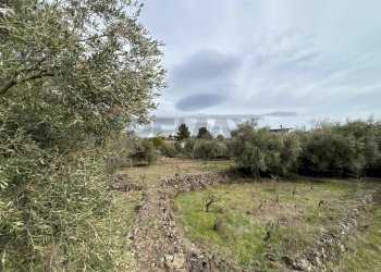 Foto 16 - Rustico C.da Iazzo Vecchio
 
snc, Santa Maria di Licodia - foto 16