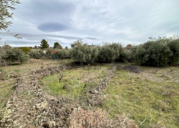 Foto 17 - Rustico C.da Iazzo Vecchio
 
snc, Santa Maria di Licodia - foto 17