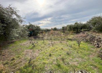 Foto 19 - Rustico C.da Iazzo Vecchio
 
snc, Santa Maria di Licodia - foto 19