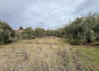 Foto 20 - Rustico C.da Iazzo Vecchio
 
snc, Santa Maria di Licodia - foto 20