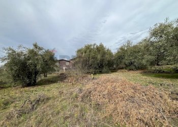 Foto 21 - Rustico C.da Iazzo Vecchio
 
snc, Santa Maria di Licodia - foto 21