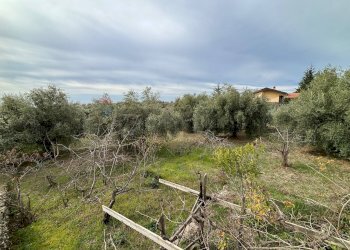 Foto 24 - Rustico C.da Iazzo Vecchio
 
snc, Santa Maria di Licodia - foto 24