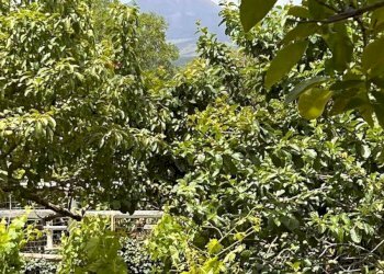 Vista delle montagne - Terreno agricolo contrada monte arso
 
snc, Ragalna - foto 2