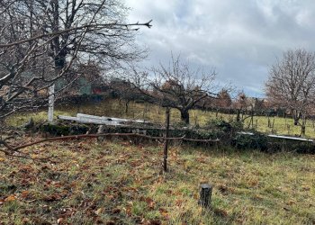 Giardino - Terreno agricolo contrada monte arso
 
snc, Ragalna - foto 10