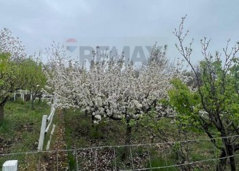 Edificio all\'aperto - Terreno agricolo contrada monte arso
 
snc, Ragalna - foto 12