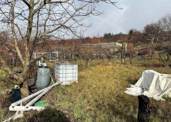 Giardino - Terreno agricolo contrada monte arso
 
snc, Ragalna - foto 13