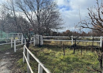 Giardino - Terreno agricolo contrada monte arso
 
snc, Ragalna - foto 15