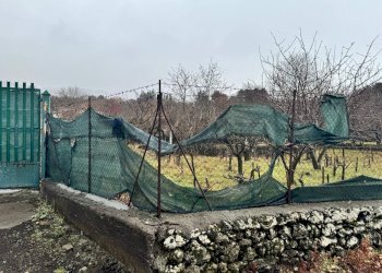 Giardino - Terreno agricolo contrada monte arso
 
snc, Ragalna - foto 16