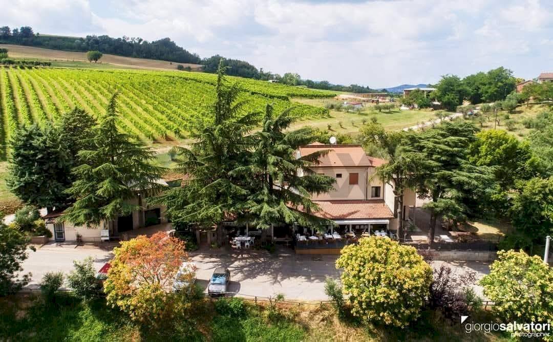 Giardino - Agriturismo strada Montemaggiore
 
3, Predappio - foto 1