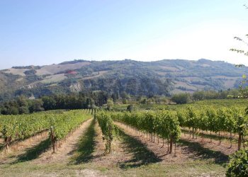 Vista delle montagne - Agriturismo strada Montemaggiore
 
3, Predappio - photo 2