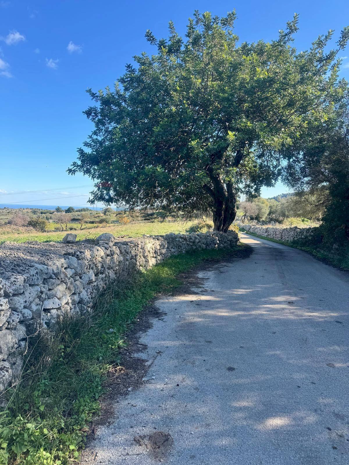 Strada principale - Terreno agricolo Contrada Malaterra
 
snc, Melilli - foto 2