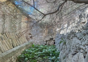 Giardino - Terreno agricolo Contrada Malaterra
 
snc, Melilli - foto 7