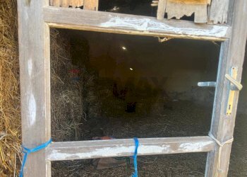 Non correlato - Terreno agricolo Contrada Malaterra
 
snc, Melilli - foto 9