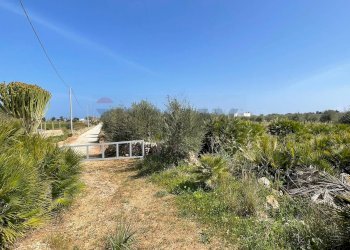 Giardino - Rustico SP 85 Contrada Triona Casalotto, Noto - foto 23