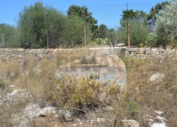 Giardino - Rustico SP 85 Contrada Triona Casalotto, Noto - foto 32