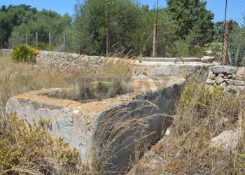 Giardino - Rustico SP 85 Contrada Triona Casalotto, Noto - foto 33