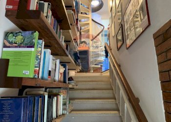 Scale - Villa a Schiera Via Dante Alighieri
 
42, Arsiè - foto 12