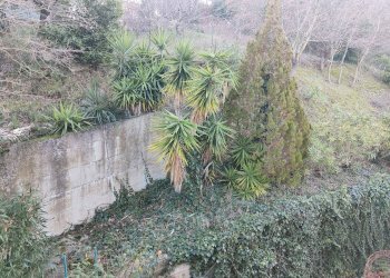 Foto 71 - Villa a Schiera Via Setti Carraro
 
17, Acquaviva Picena - foto 71