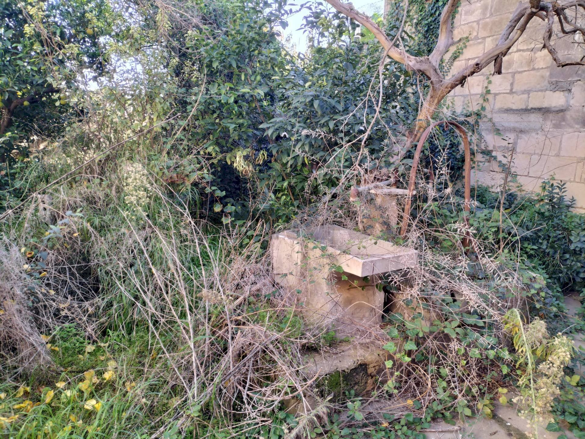 Giardino - Independent house G.Ulivi
 
16-18, Comiso - photo 2