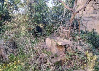 Giardino - Casa indipendente G.Ulivi
 
16-18, Comiso - foto 2