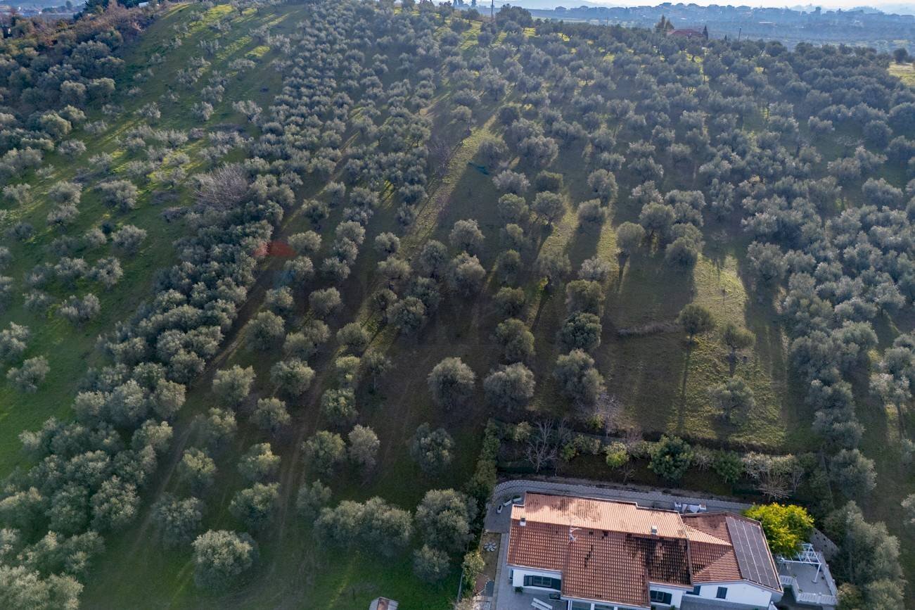 Vista delle montagne - Terreno agricolo via Pascoli, Cappelle sul Tavo - foto 3
