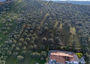 Vista delle montagne - Terreno agricolo via Pascoli, Cappelle sul Tavo - foto 3