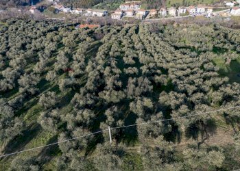 Posizione della mappa - Terreno agricolo via Pascoli, Cappelle sul Tavo - foto 6