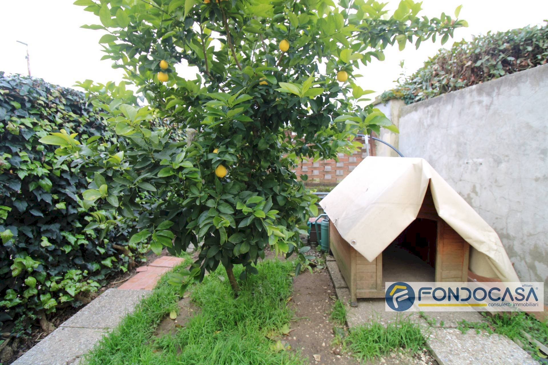 Foto 3 - Apartment Vicolo Dei Conti, Pontedera - photo 3