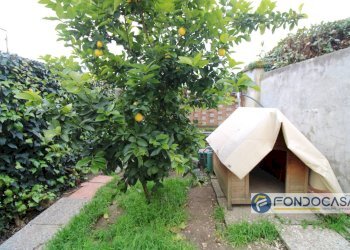 Foto 3 - Appartamento Vicolo Dei Conti, Pontedera - foto 3