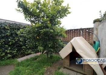 Foto 4 - Appartamento Vicolo Dei Conti, Pontedera - foto 4