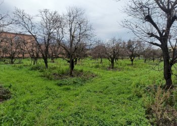 Foto 4 - Building land via santa maria
 
178, Angri - photo 4