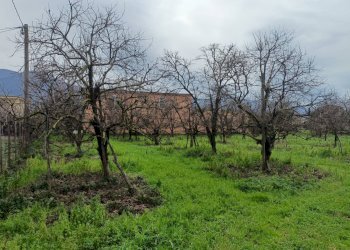 Foto 5 - Building land via santa maria
 
178, Angri - photo 5