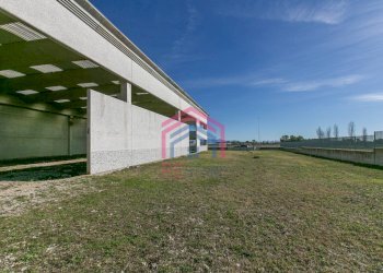 Foto 8 - Capannone Via della Produzione
 
snc, Aprilia - foto 8