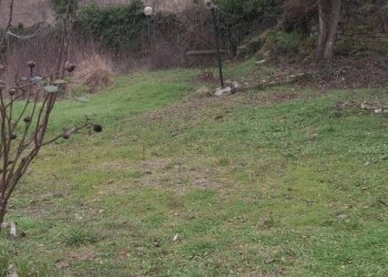 Foto 7 - Casa semi indipendente Località Torre
 
37, Castel San Niccolò - foto 7