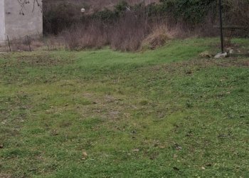 Foto 14 - Casa semi indipendente Località Torre
 
37, Castel San Niccolò - foto 14