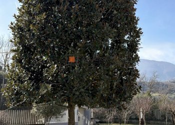 Foto 13 - Independent house Folignano - photo 13