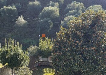 Foto 44 - Independent house Folignano - photo 44