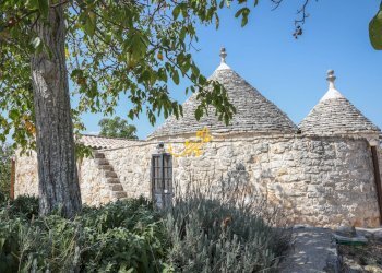 Foto 5 - Baita Strada Comunale Lama D'Inferno, Castellana Grotte - photo 5