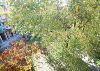 Giardino - Trilocale via Filippo Abbiati, 2, Milano - foto 10