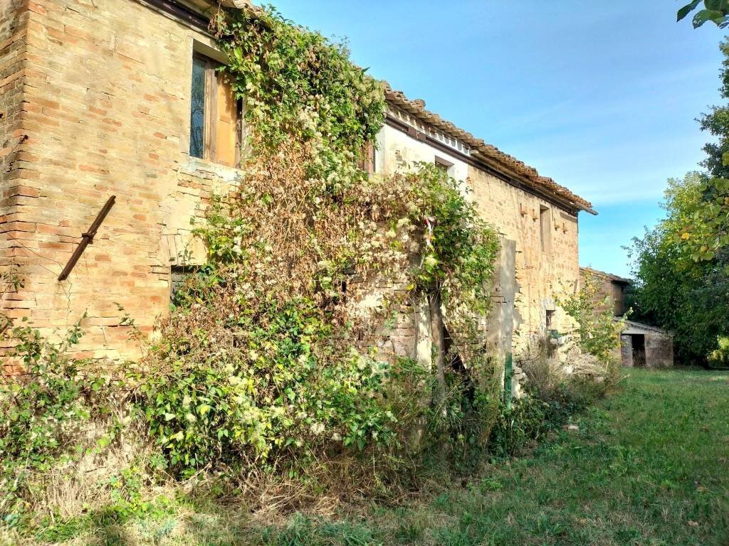 Terreno - Rustic via San Paterniano, 10, Serra de' Conti - photo 3