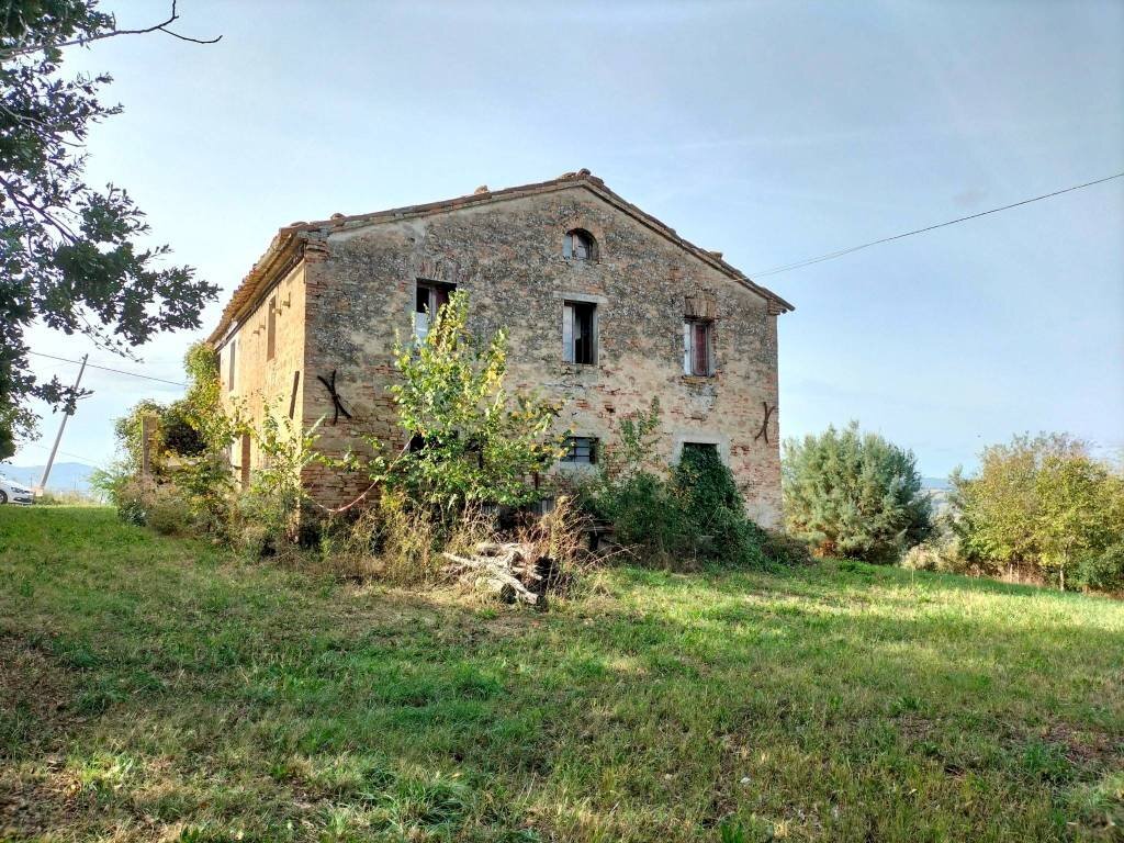 Terreno - Rustic via San Paterniano, 10, Serra de' Conti - photo 1