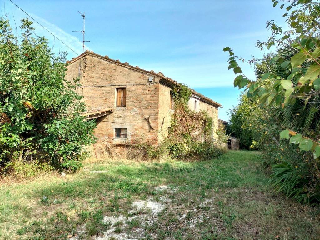 Terreno - Rustic via San Paterniano, 10, Serra de' Conti - photo 3