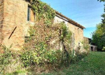 Terreno - Rustico via San Paterniano, 10, Serra de' Conti - foto 3
