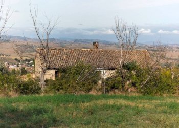 Terreno - Rustico via San Paterniano, 10, Serra de' Conti - foto 8