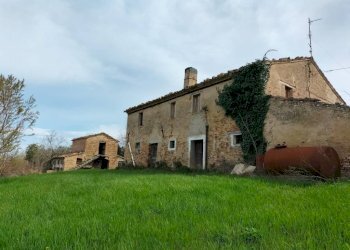 Terreno - Rustico via San Paterniano, 10, Serra de' Conti - foto 10