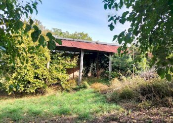 Terreno - Rustico via San Paterniano, 10, Serra de' Conti - foto 13